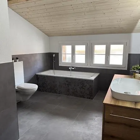 Gadmer Herz Appartement Gadmen